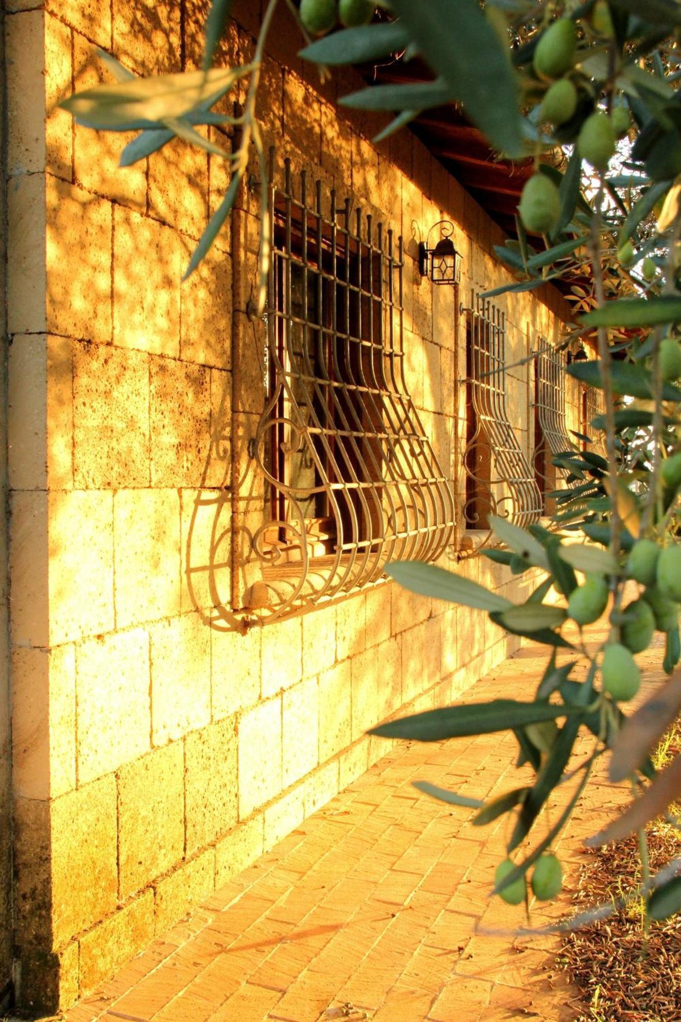Al Vecchio Fontanile B&B Ladispoli Extérieur photo